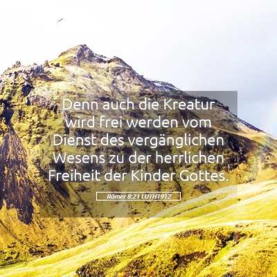 Picture 05 - Römer 8:21 LUTH1912 - Denn auch die Kreatur wird frei werden vom Dienst - Bible Verse Picture