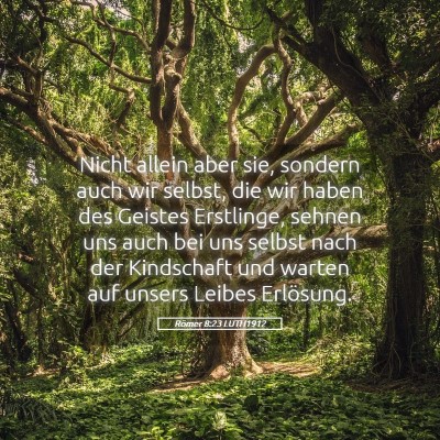 Picture 05 - Römer 8:23 LUTH1912 - Nicht allein aber sie, sondern auch wir selbst, - Bible Verse Picture