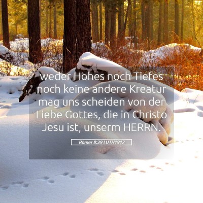 Picture 05 - Römer 8:39 LUTH1912 - weder Hohes noch Tiefes noch keine andere Kreatur - Bible Verse Picture