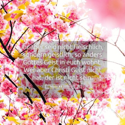 Picture 05 - Römer 8:9 LUTH1912 - Ihr aber seid nicht fleischlich, sondern - Bible Verse Picture