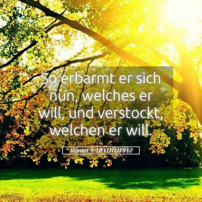 Picture 05 - Römer 9:18 LUTH1912 - So erbarmt er sich nun, welches er will, und - Bible Verse Picture