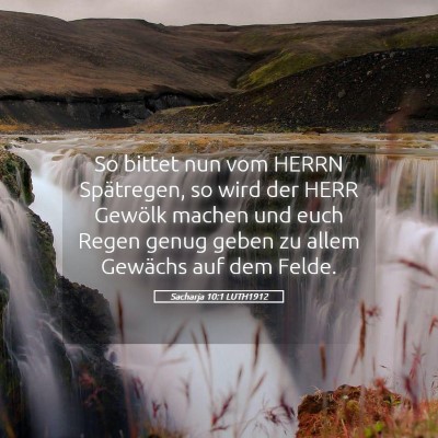 Picture 05 - Sacharja 10:1 LUTH1912 - So bittet nun vom HERRN Spätregen, so wird der - Bible Verse Picture