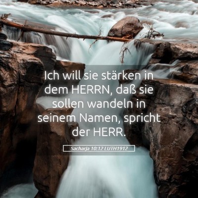 Picture 05 - Sacharja 10:12 LUTH1912 - Ich will sie stärken in dem HERRN, daß sie - Bible Verse Picture