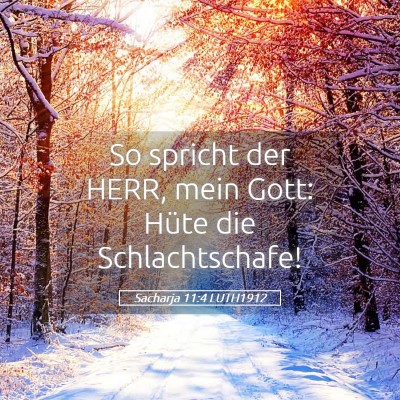 Picture 05 - Sacharja 11:4 LUTH1912 - So spricht der HERR, mein Gott: Hüte die - Bible Verse Picture