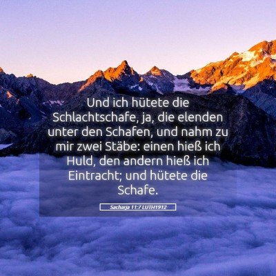 Picture 05 - Sacharja 11:7 LUTH1912 - Und ich hütete die Schlachtschafe, ja, die - Bible Verse Picture