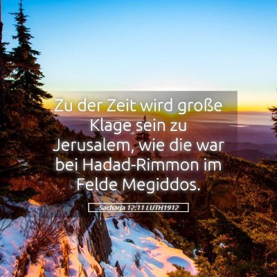 Picture 05 - Sacharja 12:11 LUTH1912 - Zu der Zeit wird große Klage sein zu Jerusalem, - Bible Verse Picture