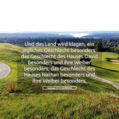 Picture 05 - Sacharja 12:12 LUTH1912 - Und das Land wird klagen, ein jegliches - Bible Verse Picture