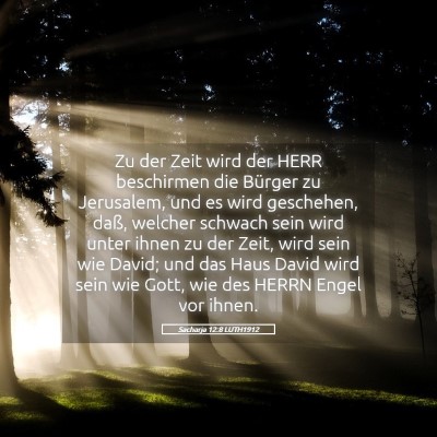 Picture 05 - Sacharja 12:8 LUTH1912 - Zu der Zeit wird der HERR beschirmen die Bürger - Bible Verse Picture