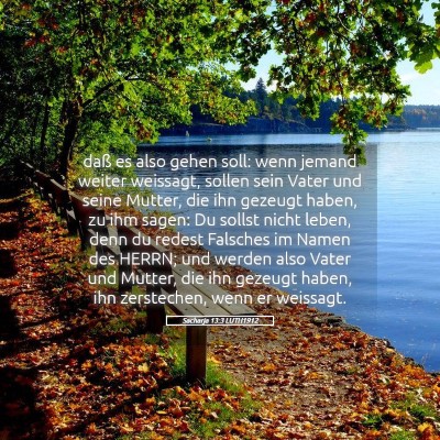 Picture 05 - Sacharja 13:3 LUTH1912 - daß es also gehen soll: wenn jemand weiter - Bible Verse Picture