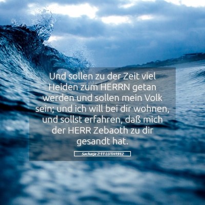 Picture 05 - Sacharja 2:11 LUTH1912 - Und sollen zu der Zeit viel Heiden zum HERRN - Bible Verse Picture