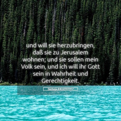 Picture 05 - Sacharja 8:8 LUTH1912 - und will sie herzubringen, daß sie zu Jerusalem - Bible Verse Picture