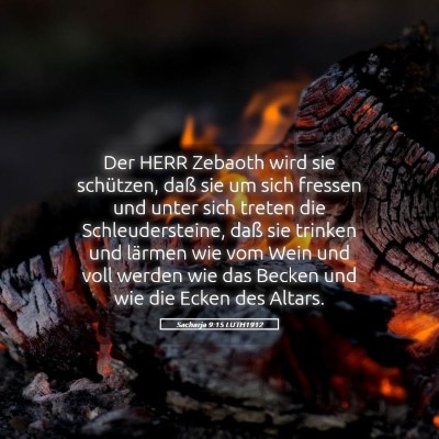 Picture 05 - Sacharja 9:15 LUTH1912 - Der HERR Zebaoth wird sie schützen, daß sie um - Bible Verse Picture
