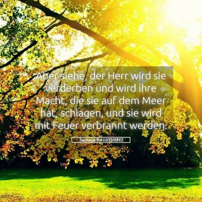 Picture 05 - Sacharja 9:4 LUTH1912 - Aber siehe, der Herr wird sie verderben und wird - Bible Verse Picture