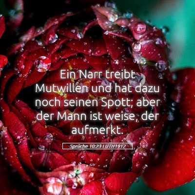Picture 05 - Sprüche 10:23 LUTH1912 - Ein Narr treibt Mutwillen und hat dazu noch - Bible Verse Picture