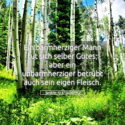 Picture 05 - Sprüche 11:17 LUTH1912 - Ein barmherziger Mann tut sich selber Gutes; aber - Bible Verse Picture