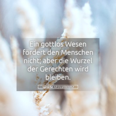 Picture 05 - Sprüche 12:3 LUTH1912 - Ein gottlos Wesen fördert den Menschen nicht; - Bible Verse Picture