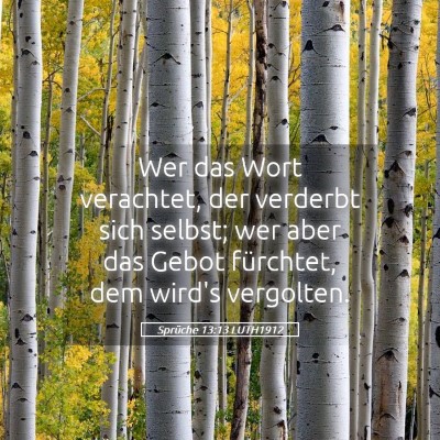 Picture 05 - Sprüche 13:13 LUTH1912 - Wer das Wort verachtet, der verderbt sich selbst; - Bible Verse Picture