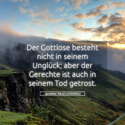 Picture 05 - Sprüche 14:32 LUTH1912 - Der Gottlose besteht nicht in seinem Unglück; - Bible Verse Picture