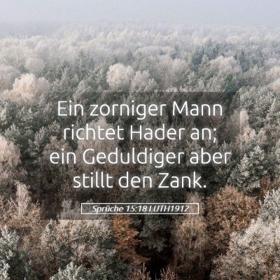Picture 05 - Sprüche 15:18 LUTH1912 - Ein zorniger Mann richtet Hader an; ein - Bible Verse Picture