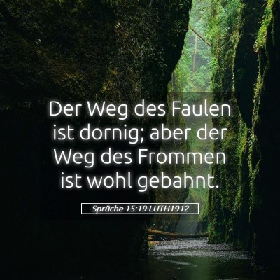 Picture 05 - Sprüche 15:19 LUTH1912 - Der Weg des Faulen ist dornig; aber der Weg des - Bible Verse Picture