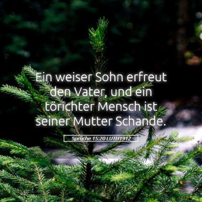 Picture 05 - Sprüche 15:20 LUTH1912 - Ein weiser Sohn erfreut den Vater, und ein - Bible Verse Picture