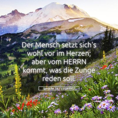 Picture 05 - Sprüche 16:1 LUTH1912 - Der Mensch setzt sich's wohl vor im Herzen; aber - Bible Verse Picture