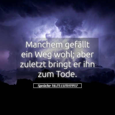 Picture 05 - Sprüche 16:25 LUTH1912 - Manchem gefällt ein Weg wohl; aber zuletzt - Bible Verse Picture