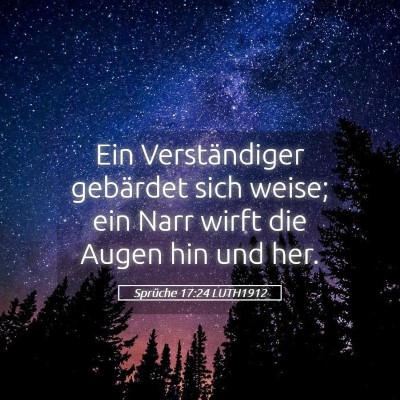 Picture 05 - Sprüche 17:24 LUTH1912 - Ein Verständiger gebärdet sich weise; ein Narr - Bible Verse Picture