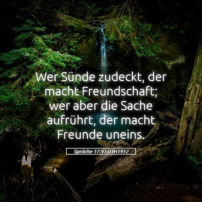 Picture 05 - Sprüche 17:9 LUTH1912 - Wer Sünde zudeckt, der macht Freundschaft; wer - Bible Verse Picture