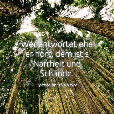 Picture 05 - Sprüche 18:13 LUTH1912 - Wer antwortet ehe er hört, dem ist's Narrheit - Bible Verse Picture