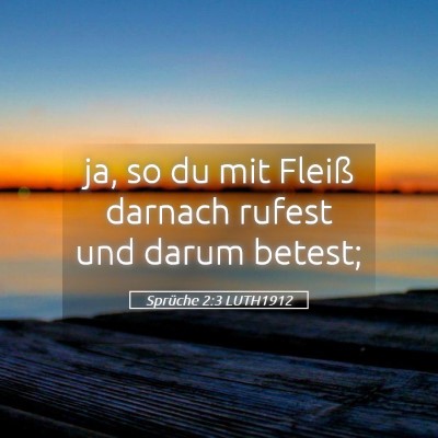Picture 05 - Sprüche 2:3 LUTH1912 - ja, so du mit Fleiß darnach rufest und darum - Bible Verse Picture