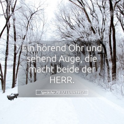 Picture 05 - Sprüche 20:12 LUTH1912 - Ein hörend Ohr und sehend Auge, die macht beide - Bible Verse Picture