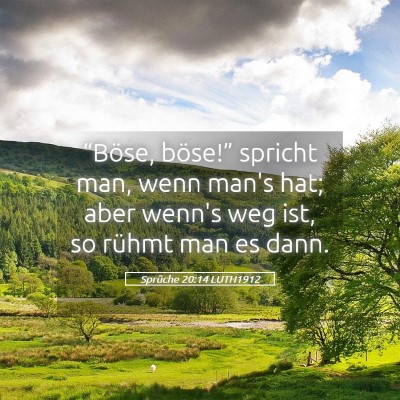 Picture 05 - Sprüche 20:14 LUTH1912 - “Böse, böse!” spricht man, wenn man's hat; - Bible Verse Picture
