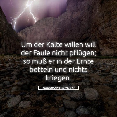 Picture 05 - Sprüche 20:4 LUTH1912 - Um der Kälte willen will der Faule nicht - Bible Verse Picture