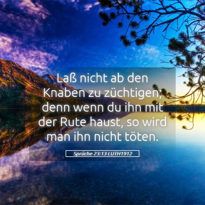 Picture 05 - Sprüche 23:13 LUTH1912 - Laß nicht ab den Knaben zu züchtigen; denn wenn - Bible Verse Picture