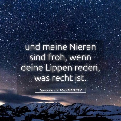 Picture 05 - Sprüche 23:16 LUTH1912 - und meine Nieren sind froh, wenn deine Lippen - Bible Verse Picture