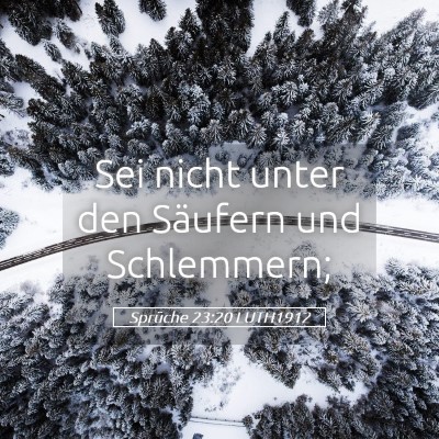 Picture 05 - Sprüche 23:20 LUTH1912 - Sei nicht unter den Säufern und - Bible Verse Picture