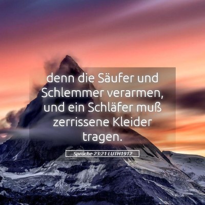 Picture 05 - Sprüche 23:21 LUTH1912 - denn die Säufer und Schlemmer verarmen, und ein - Bible Verse Picture