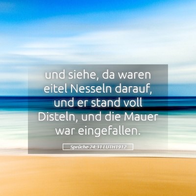 Picture 05 - Sprüche 24:31 LUTH1912 - und siehe, da waren eitel Nesseln darauf, und er - Bible Verse Picture