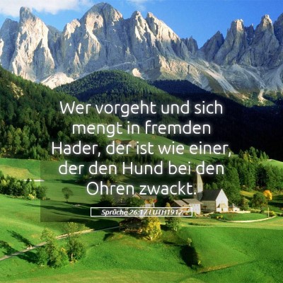 Picture 05 - Sprüche 26:17 LUTH1912 - Wer vorgeht und sich mengt in fremden Hader, der - Bible Verse Picture