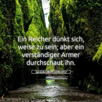 Picture 05 - Sprüche 28:11 LUTH1912 - Ein Reicher dünkt sich, weise zu sein; aber ein - Bible Verse Picture