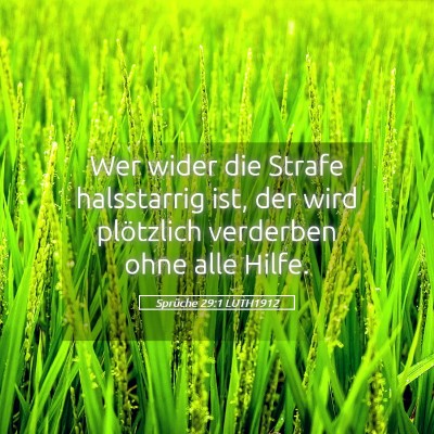 Picture 05 - Sprüche 29:1 LUTH1912 - Wer wider die Strafe halsstarrig ist, der wird - Bible Verse Picture