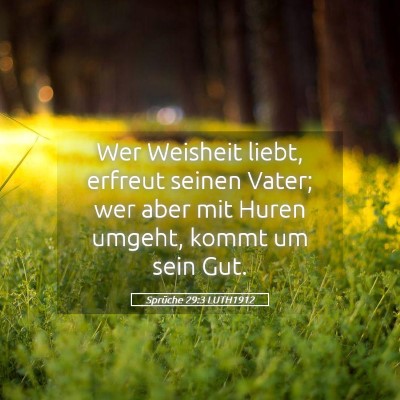 Picture 05 - Sprüche 29:3 LUTH1912 - Wer Weisheit liebt, erfreut seinen Vater; wer - Bible Verse Picture