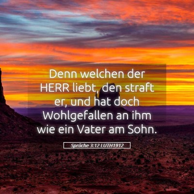 Picture 05 - Sprüche 3:12 LUTH1912 - Denn welchen der HERR liebt, den straft er, und - Bible Verse Picture