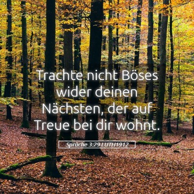 Picture 05 - Sprüche 3:29 LUTH1912 - Trachte nicht Böses wider deinen Nächsten, der - Bible Verse Picture