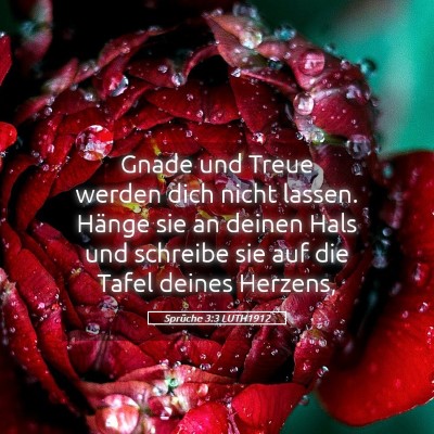 Picture 05 - Sprüche 3:3 LUTH1912 - Gnade und Treue werden dich nicht lassen. Hänge - Bible Verse Picture