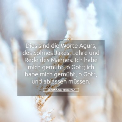 Picture 05 - Sprüche 30:1 LUTH1912 - Dies sind die Worte Agurs, des Sohnes Jakes. - Bible Verse Picture