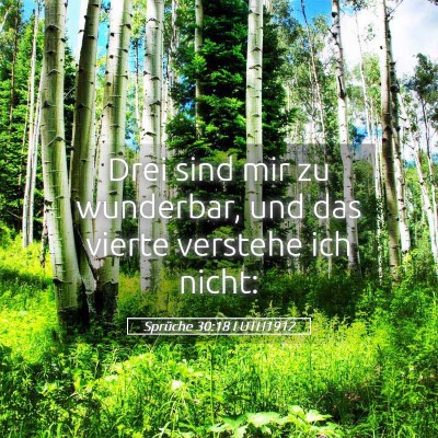 Picture 05 - Sprüche 30:18 LUTH1912 - Drei sind mir zu wunderbar, und das vierte - Bible Verse Picture