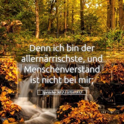 Picture 05 - Sprüche 30:2 LUTH1912 - Denn ich bin der allernärrischste, und - Bible Verse Picture