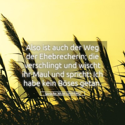 Picture 05 - Sprüche 30:20 LUTH1912 - Also ist auch der Weg der Ehebrecherin; die - Bible Verse Picture